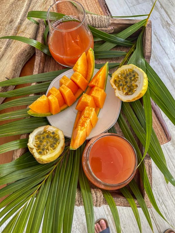 Location Villa 1 chambre Saint François Guadeloupe-fruits