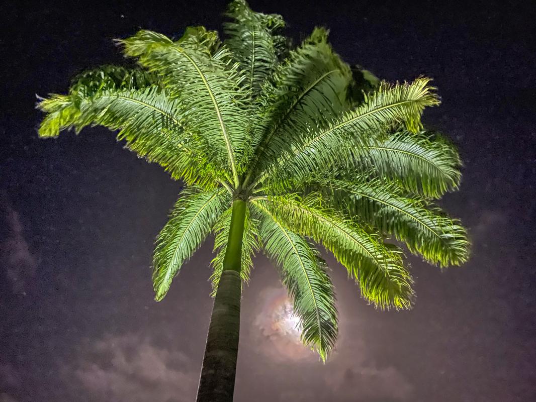 Location Villa 1 chambre Saint François Guadeloupe-nuit