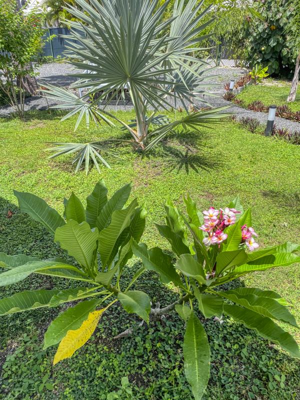 Location Villa 1 chambre Saint François Guadeloupe_exterieurs