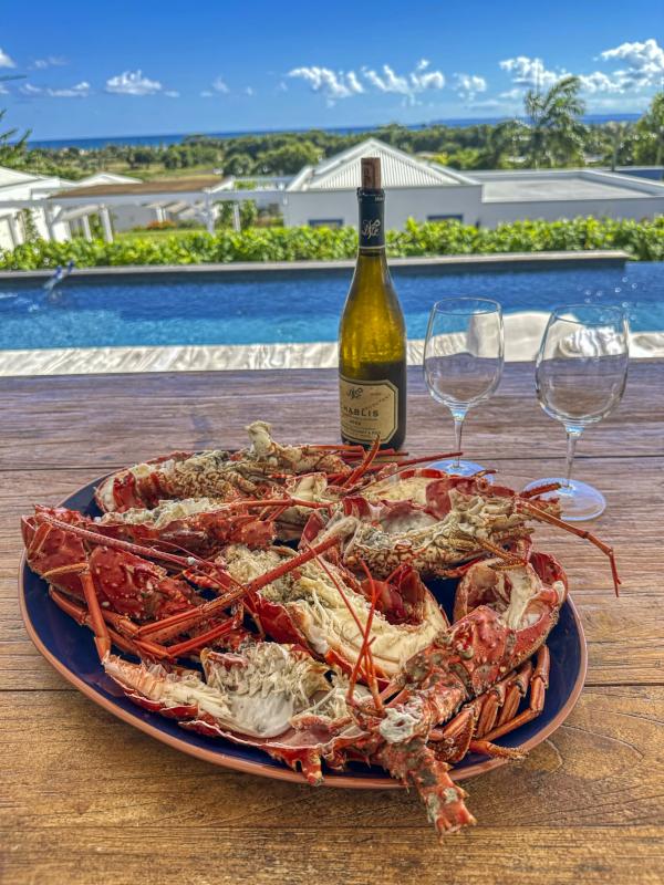Location villa piscine vue mer Saint François Guadeloupe_repas piscine