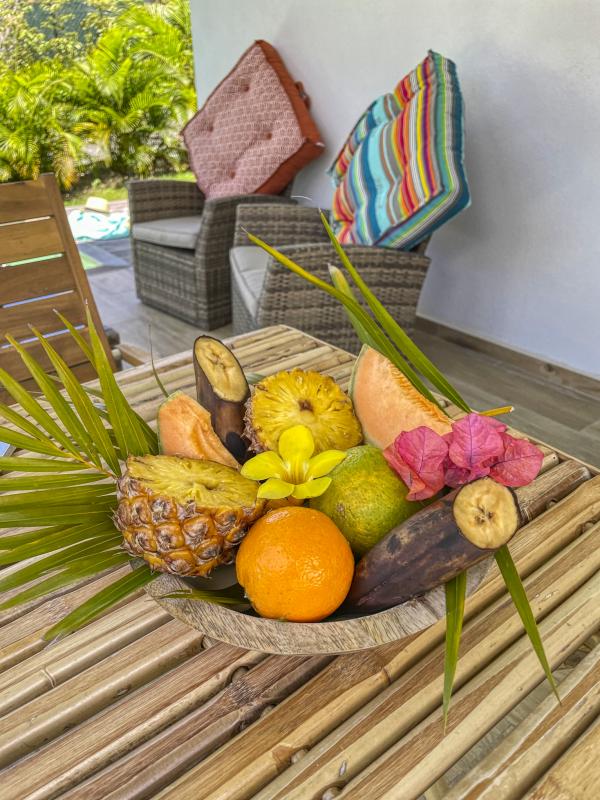 Location Villa 1 chambre Saint François Guadeloupe-fruits