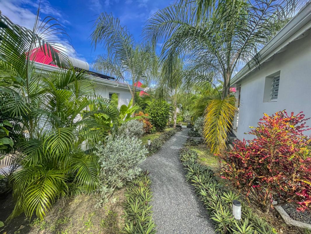 Location villa piscine Saint François Guadeloupe_chemin accès
