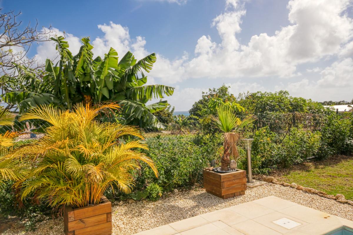 Villa with swimming pool in Guadeloupe - little view from the terrace