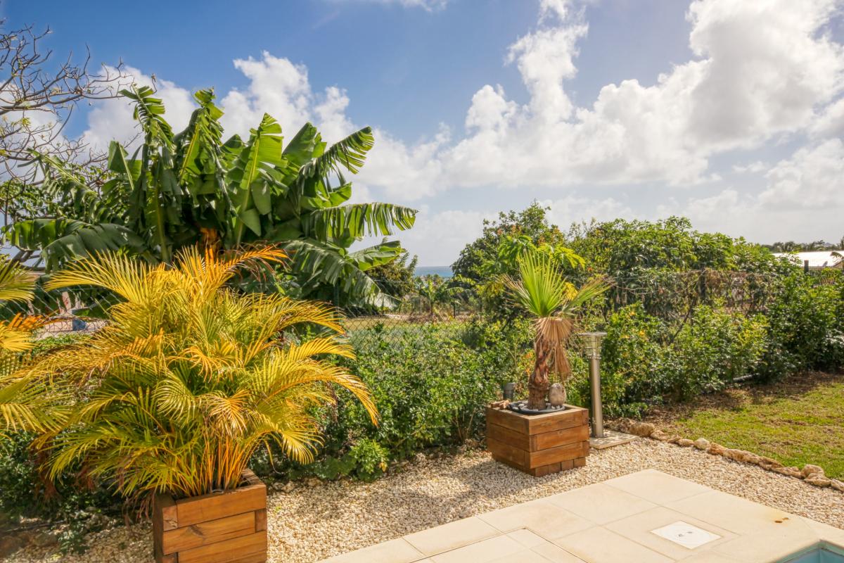 Villa avec piscine - Saint françois - Guadeloupe 