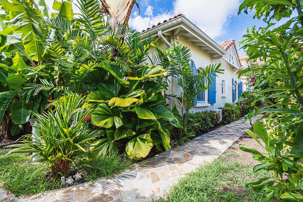 Villa-Pieds-dans-l'eau-Saint-François-Guadeloupe-végétation