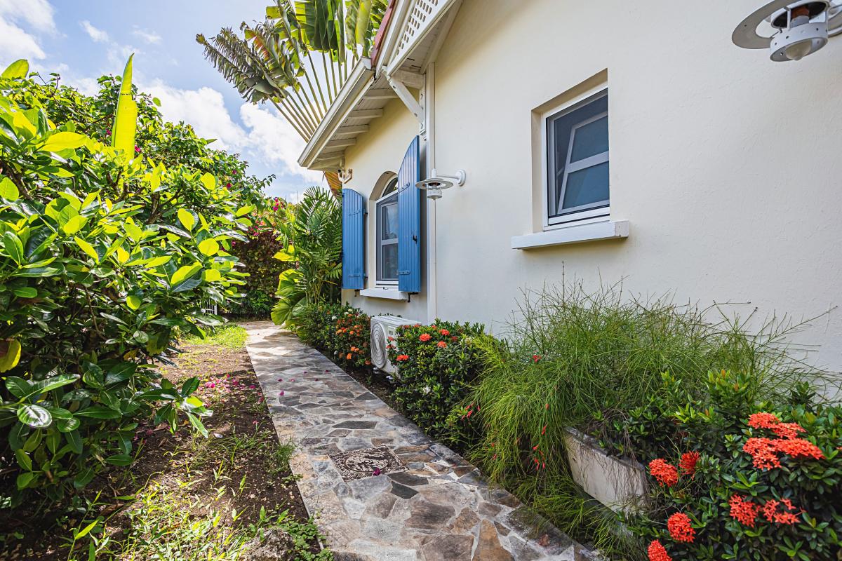 Villa-Pieds-dans-l'eau-Saint-François-Guadeloupe-végétation