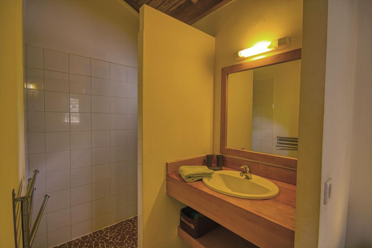 Rental villa with swimming pool - overview