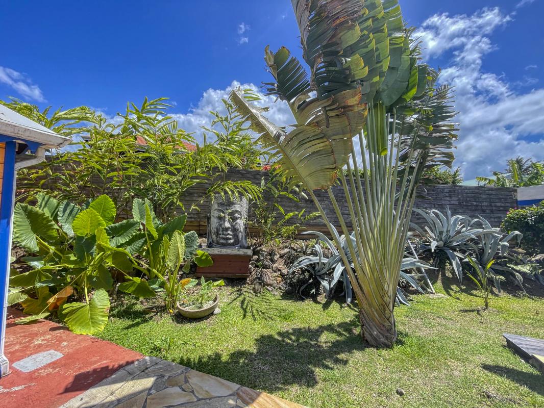 A louer villa Guadeloupe sainte rose - villa 4 chambres 8 personnes vue mer et piscine