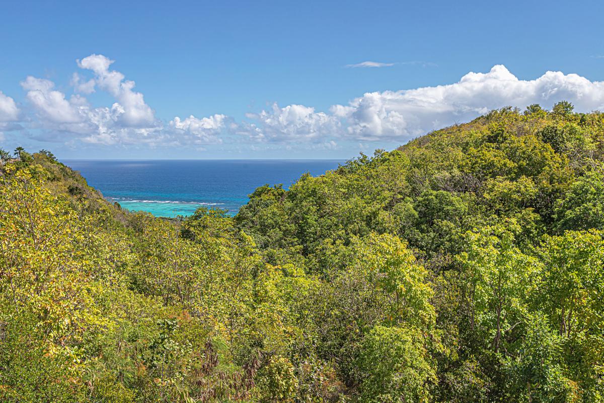 Location villa Marie Galante Guadeloupe Capesterre de Marie Galante - villa 3 chambres 8 personnes