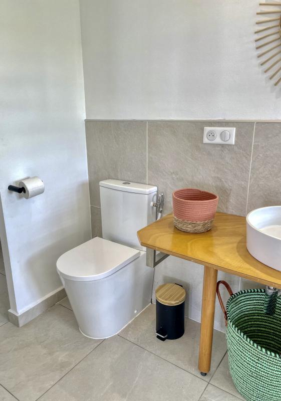 Location bungalow piscine Grand Bourg Marie Galante - Salle d'eau 
