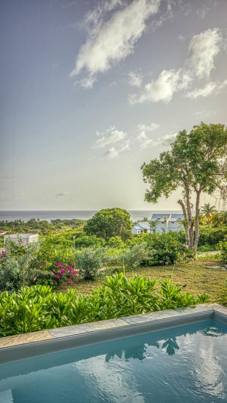 Location bungalow piscine Grand Bourg Marie Galante_ Piscine
