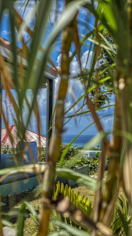 Location bungalow piscine Grand Bourg Marie Galante_ Vue mer