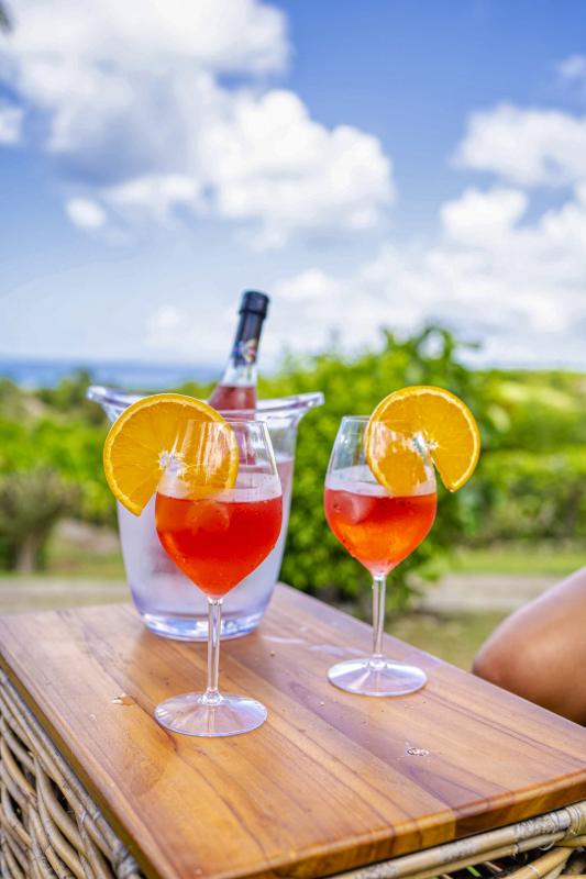 Location villa Grand Bourg Marie Galante_ Cocktails 