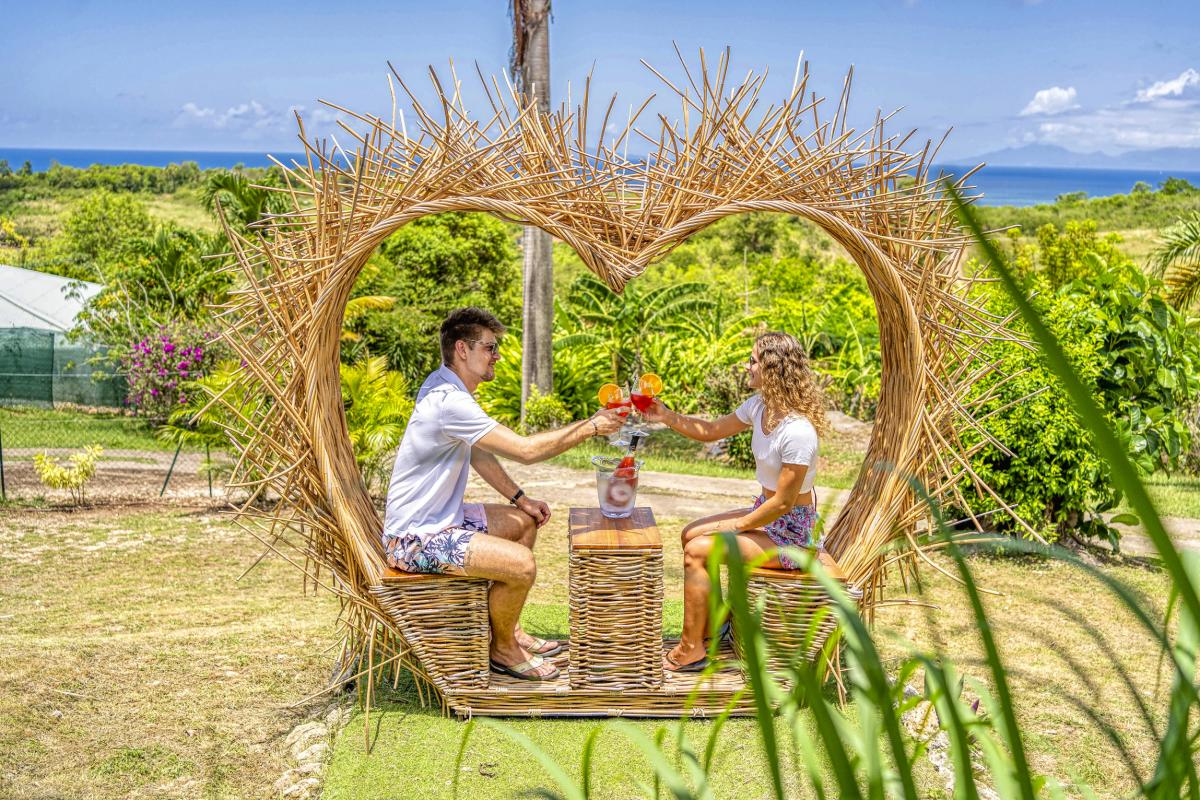Location villa Grand Bourg Marie Galante_ Jardin 