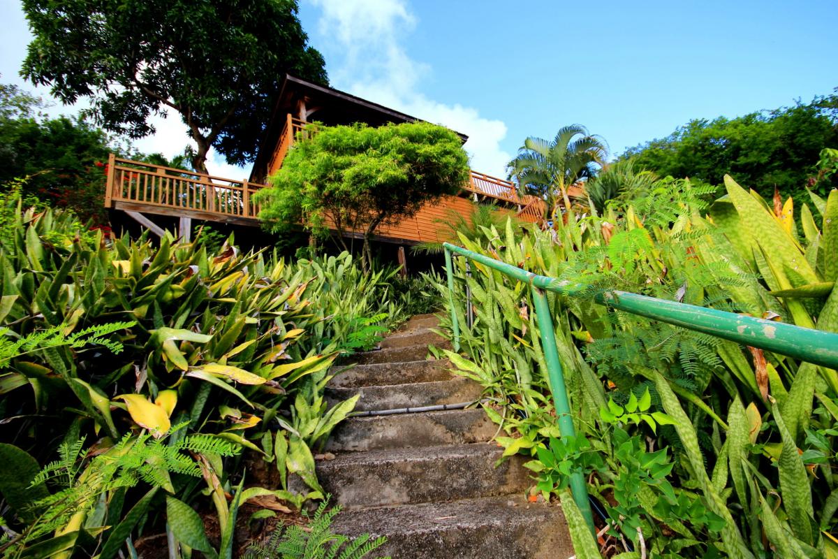 Location villa de luxe Martinique piscine vue mer villa