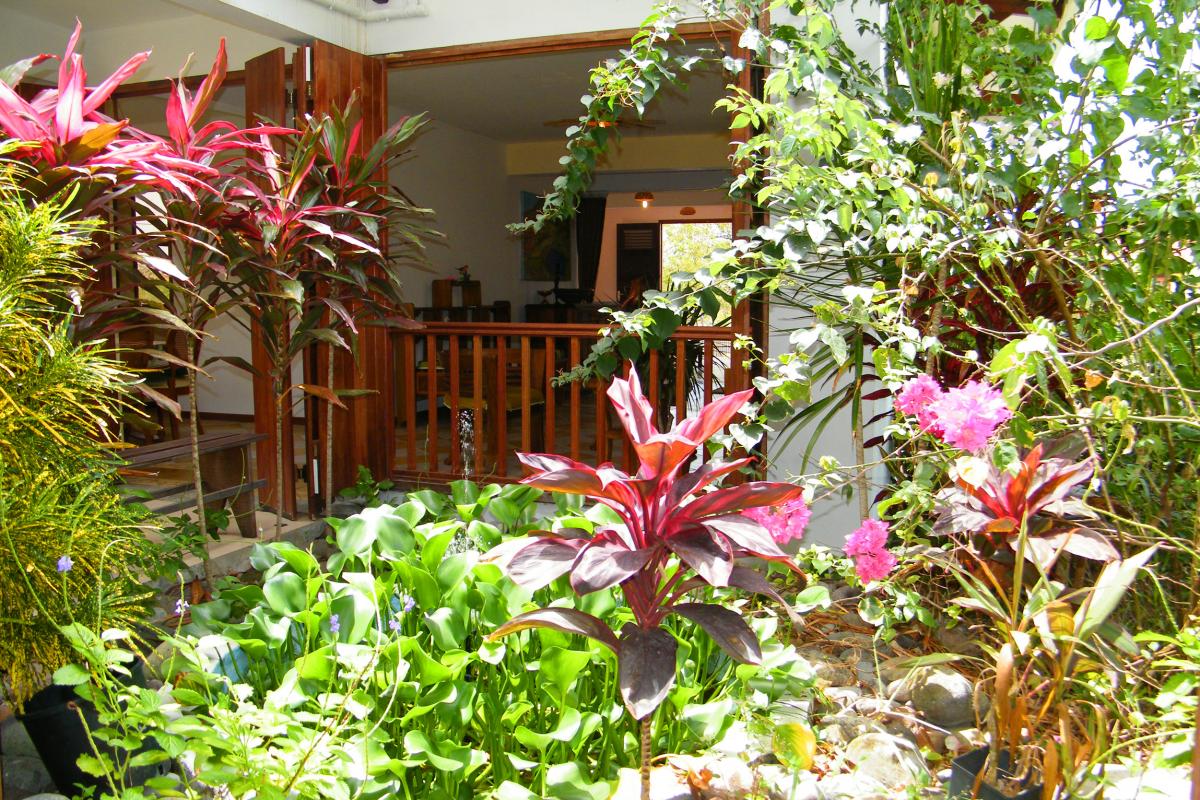 Maison Martinique - Anse d'Arlet - Jardin fleuri