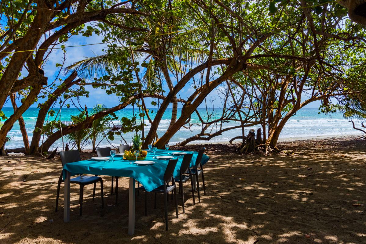 Villa grand standing les pieds dans l'eau piscine vue mer Martinique plage