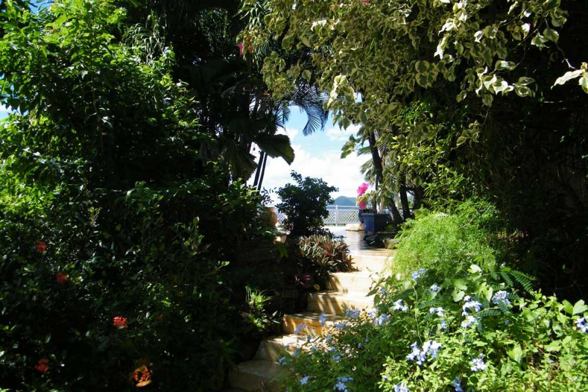 Rental Martinique - Villa entrance Rental Martinique - Villa entrance