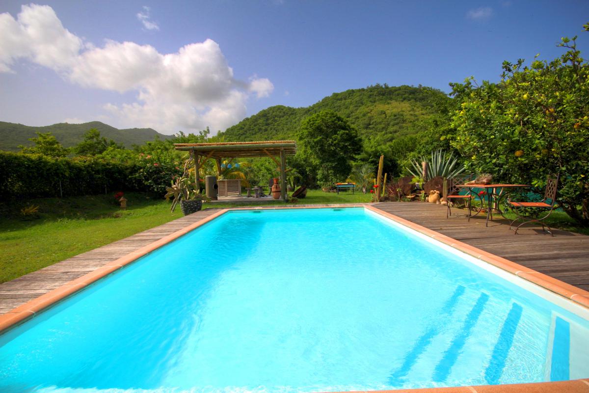 Location villa Martinique - Terrasse et piscine