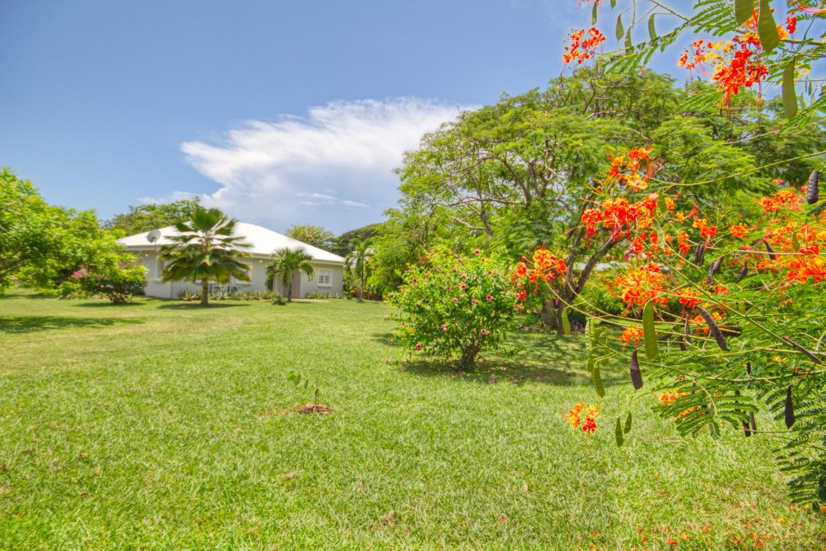 Location villa Le Diamant Martinique - Le jardin
