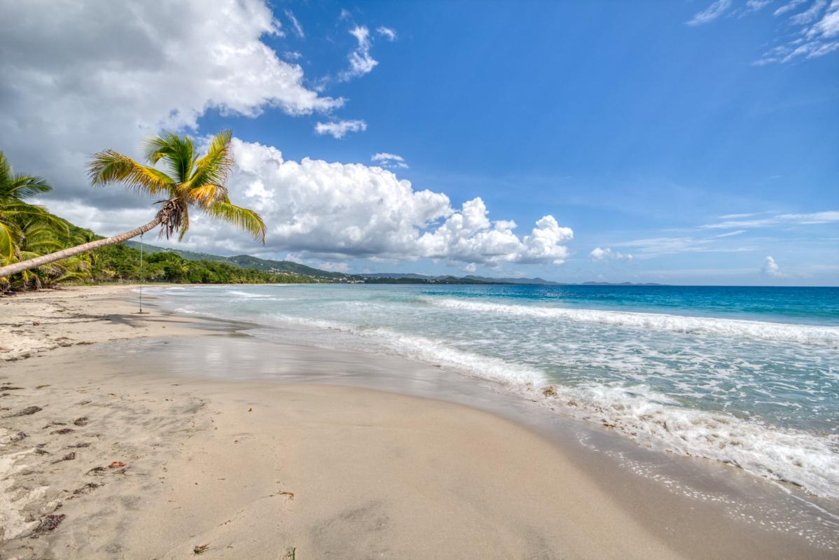 location villa martinique plage du diamant vue 2