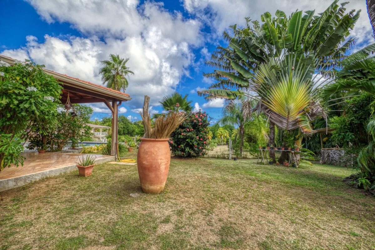 location villa de standing martinique piscine jardin2