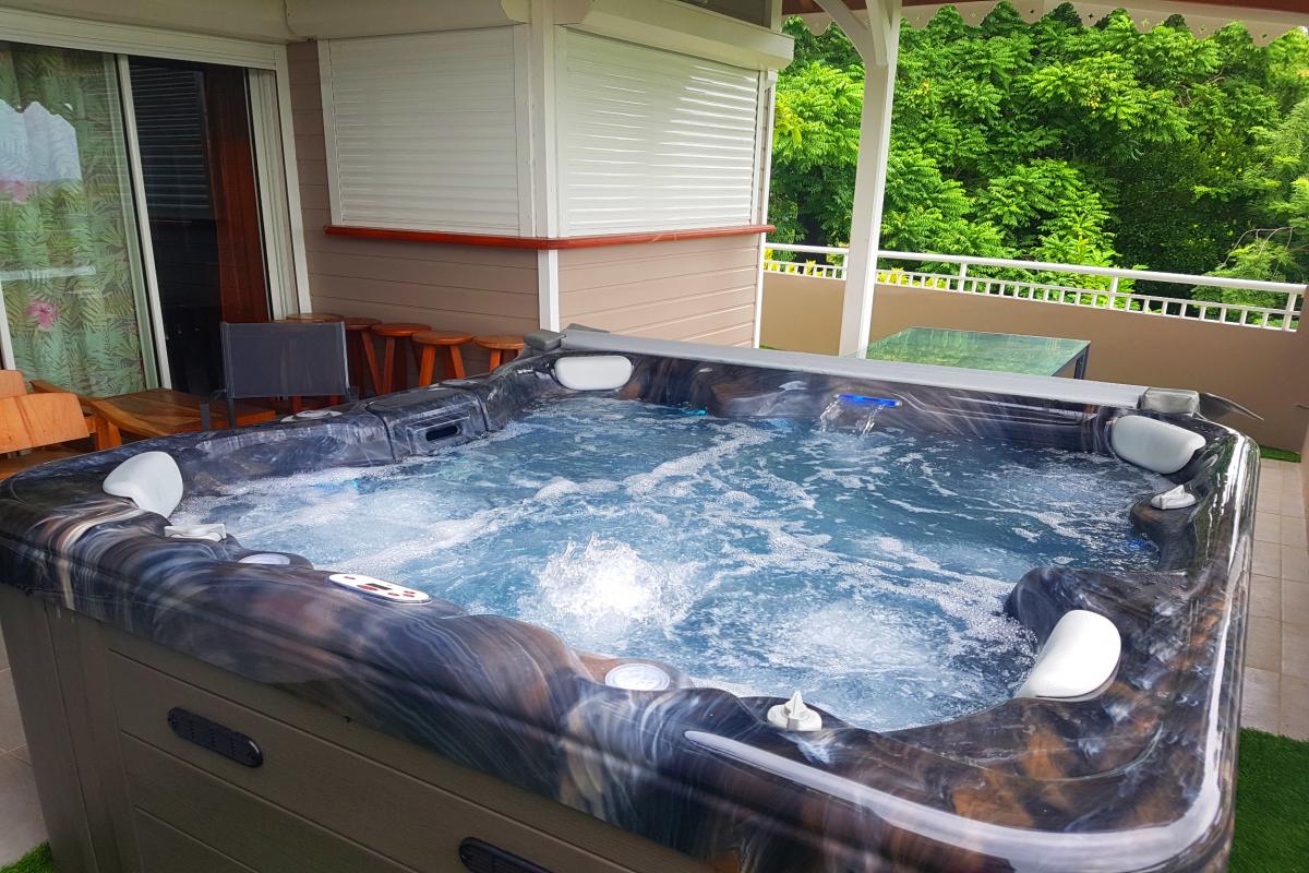 MQMA10  HIBISCUS JACUZZI