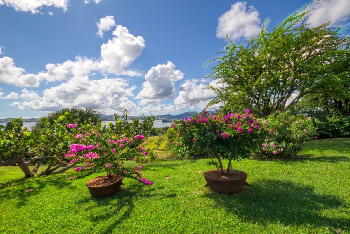 location villa martinique jardin et vue mer