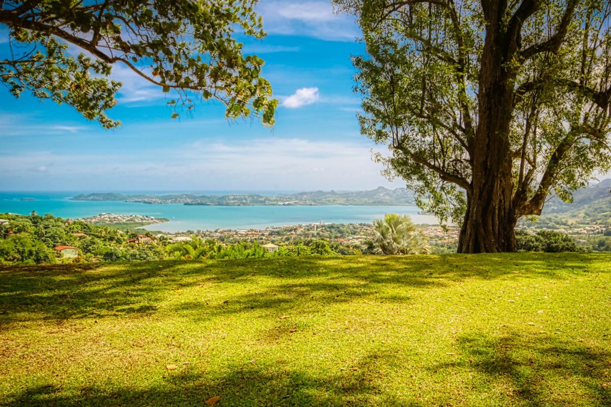 location villa de standing martinique  piscine vue mer jardin