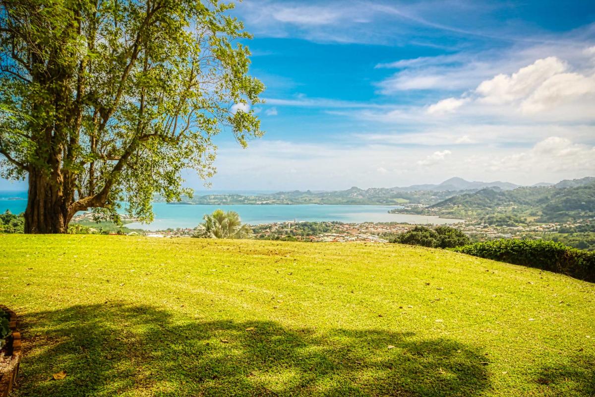 location villa de standing martinique piscine vue mer