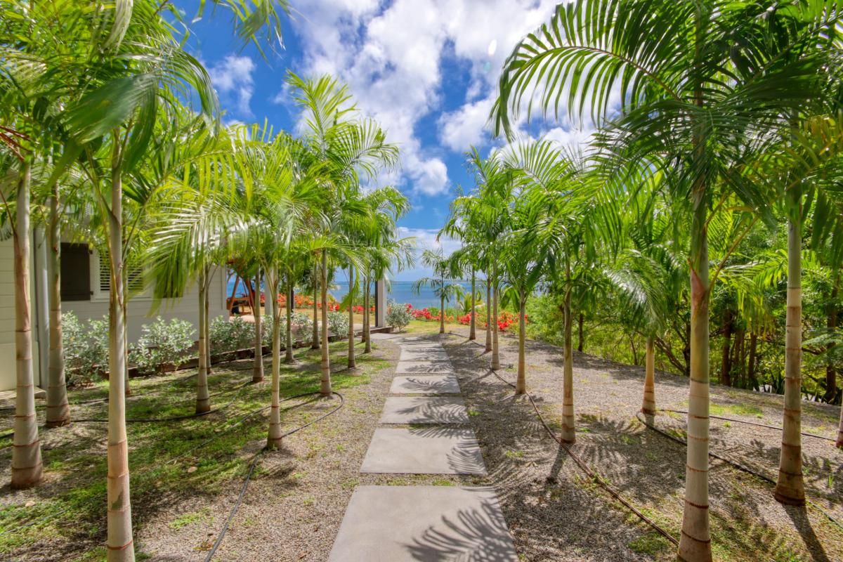 location de villa martinique vue mer jardins