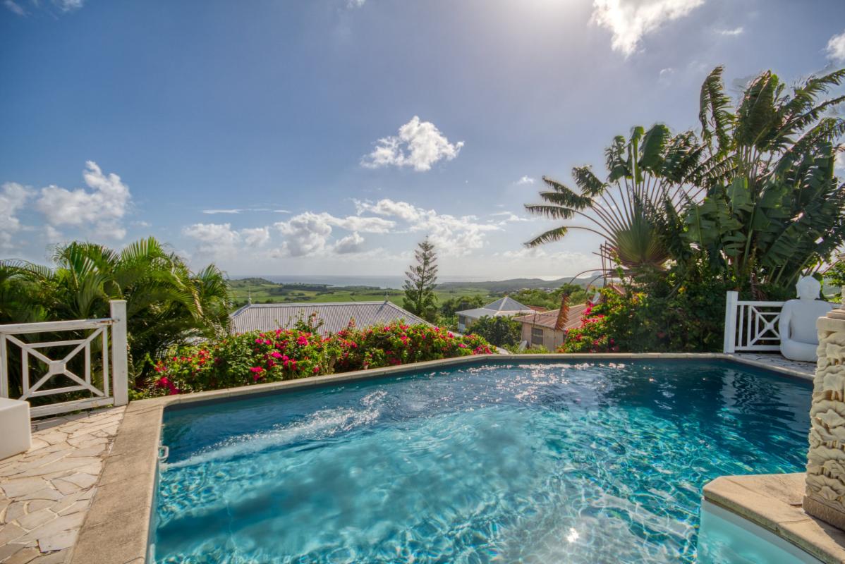 location villa martinique sainte luce piscine avec vue panoramique