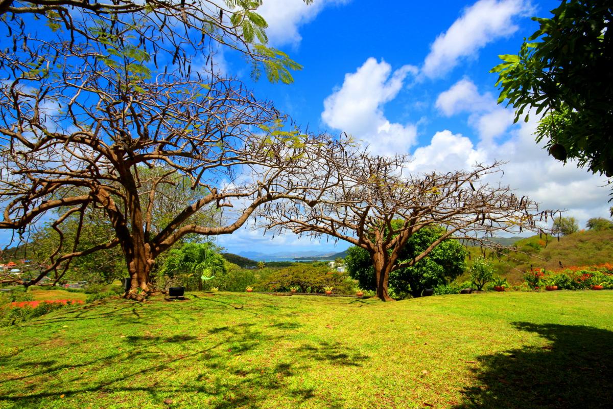 Location Martinique - Sainte Anne - panorama