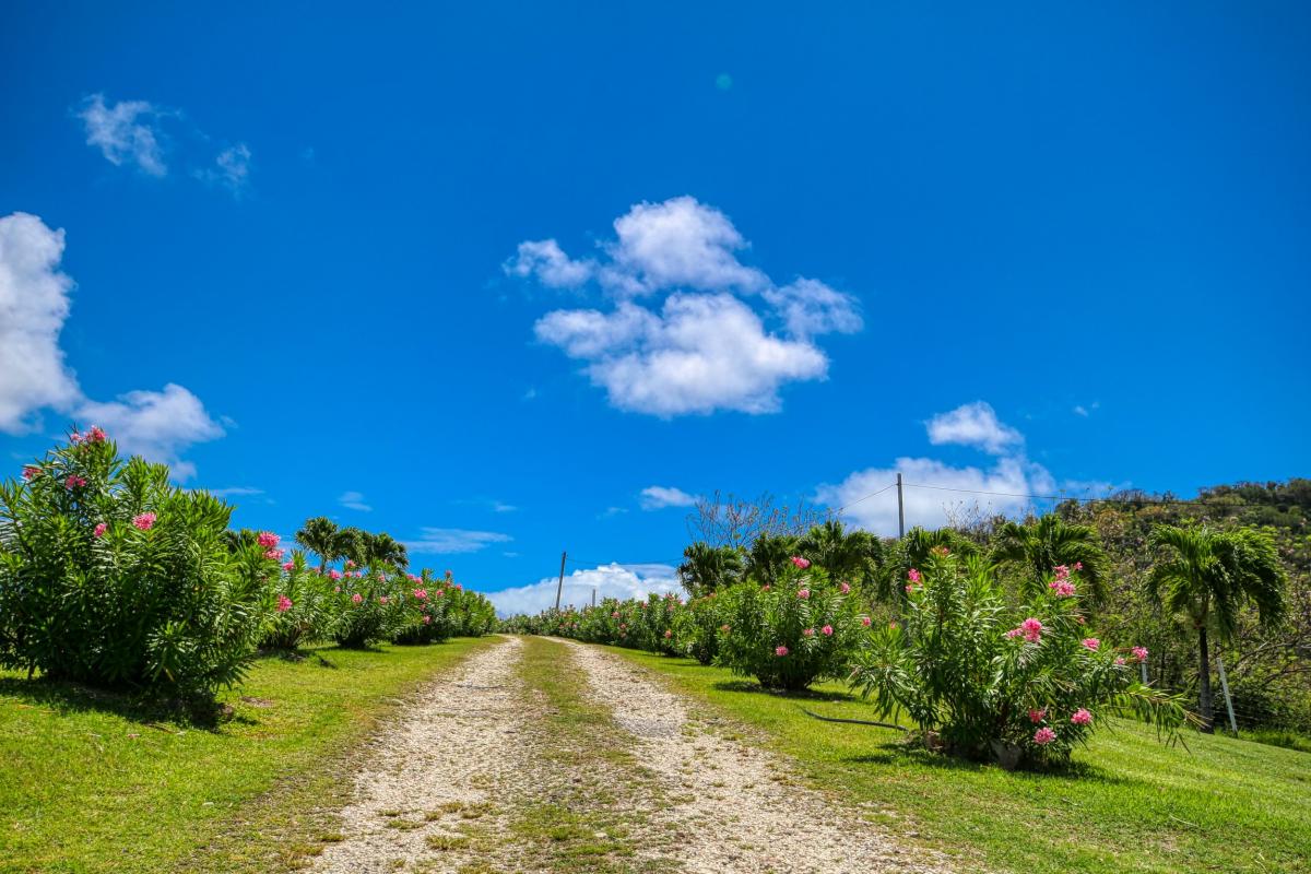 Location Martinique - Sainte Anne - panorama