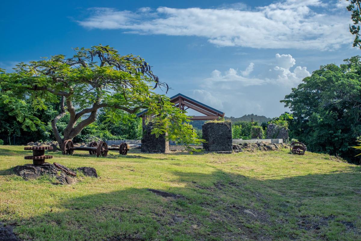 Location villa martinique sainte anne vue jardin et piscine
