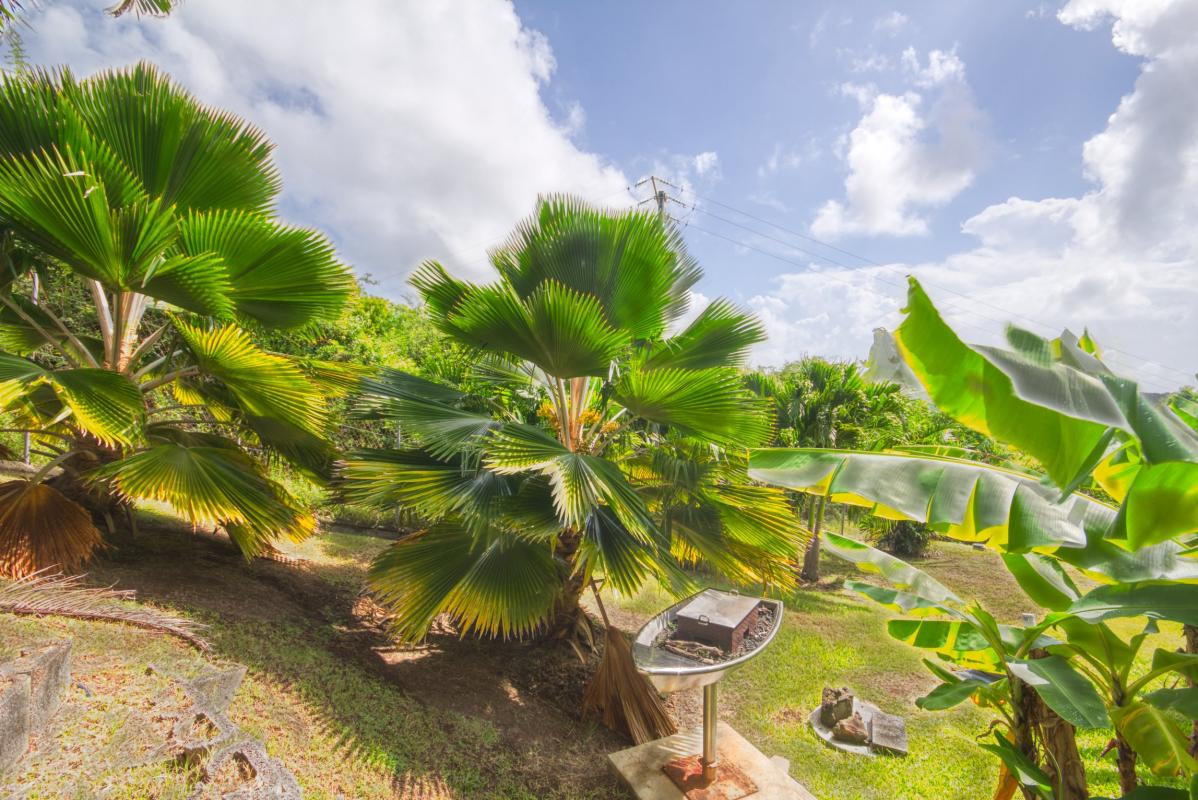 location maison martinique jardin