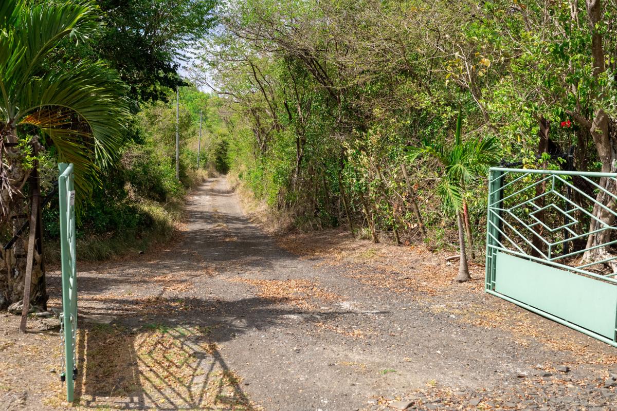 Location villa martinique-chemin et portail