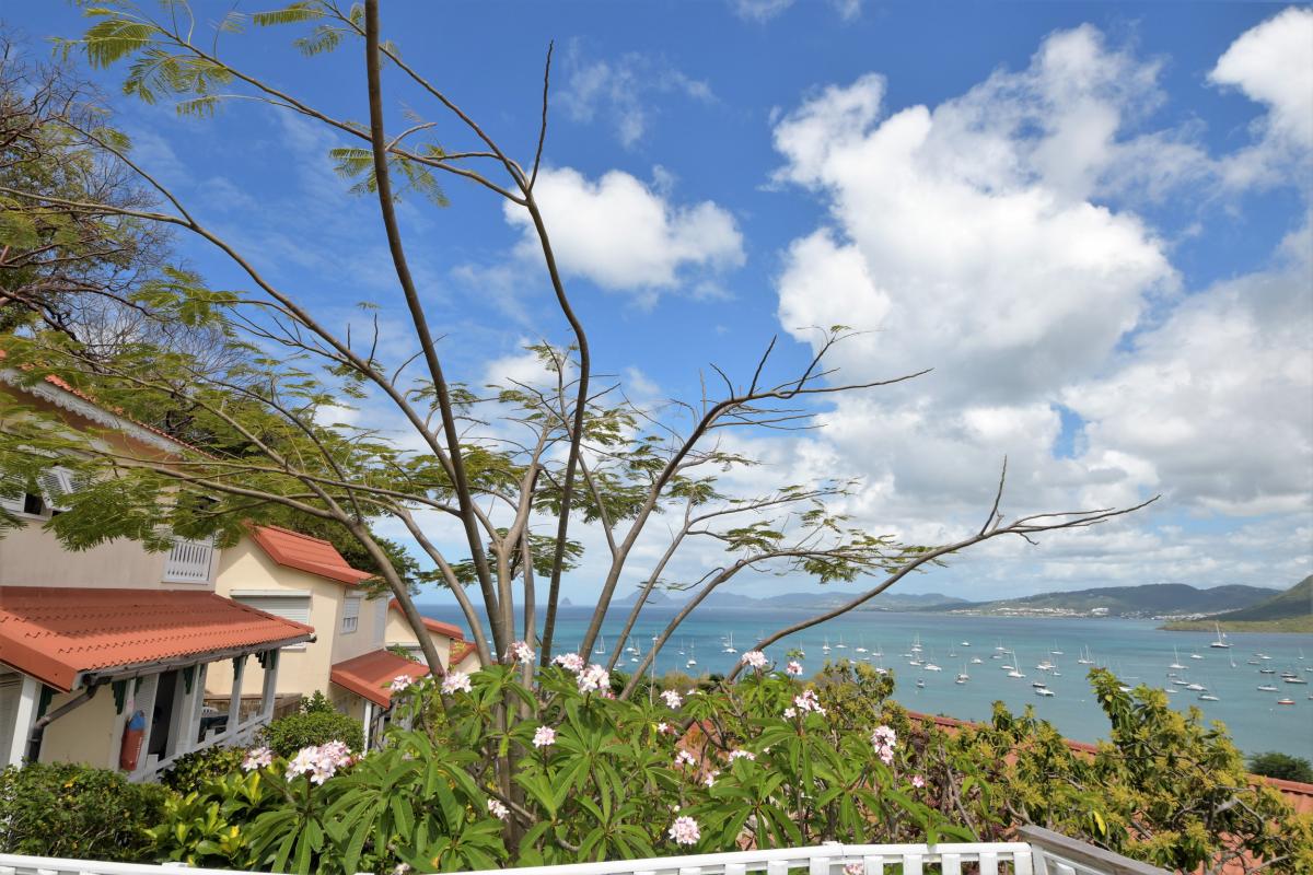 Vue mer - location de studio 2 personnes Sainte-Anne Martinique.jpg