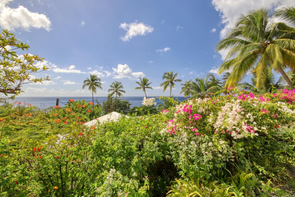 location de villa 4 personnes Martinique vue mer 2