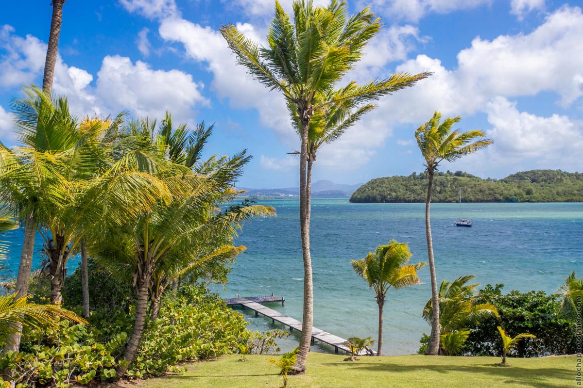 Villa d'exception Pointe du Bout Ponton privé Trois ilets Piscine pieds dans l'eau ponton privé Martinique