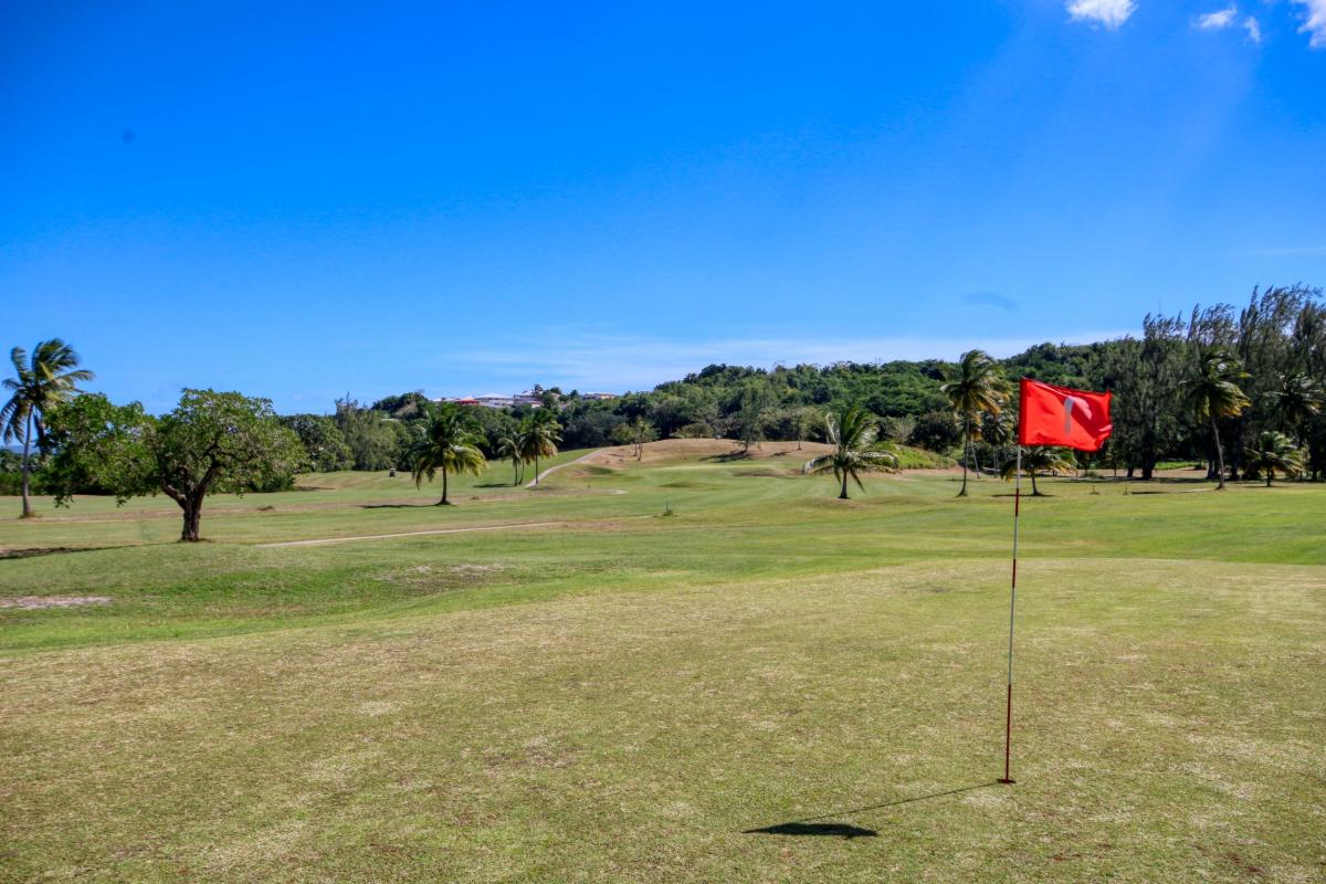 location villa de luxe martinique vue mer golf2