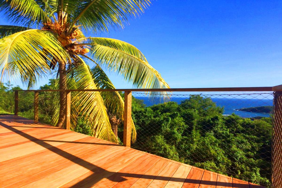 Location villa piscine vue mer Martinique cocotier