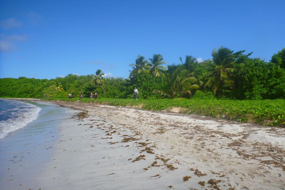 Plage de Petit Macabou