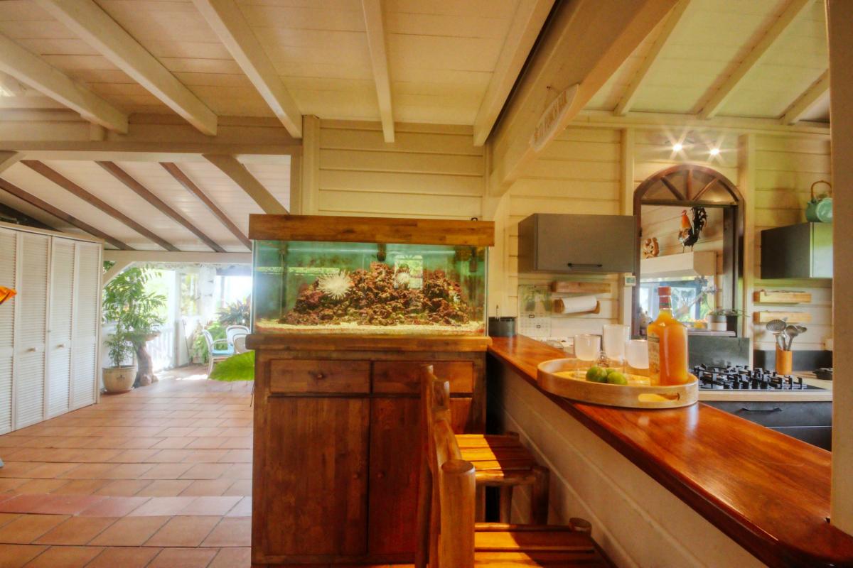 14 Location villa piscine 2 chambres Martinique_aquarium 2