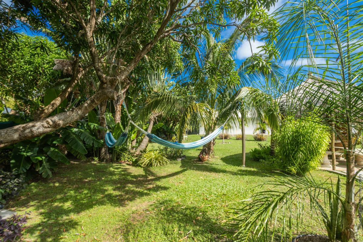 7 Location villa Vauclin extérieur hamac 2