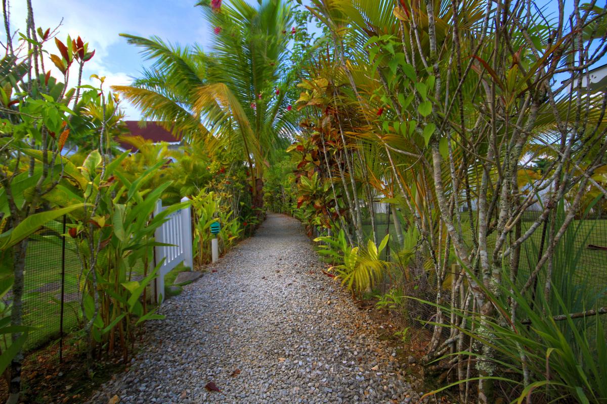 Location villa Las Terrenas - La piscine