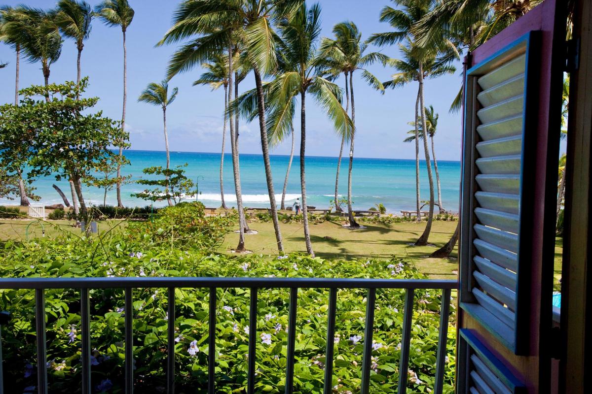 Location villa Las Terrenas - Vue de la chambre 4