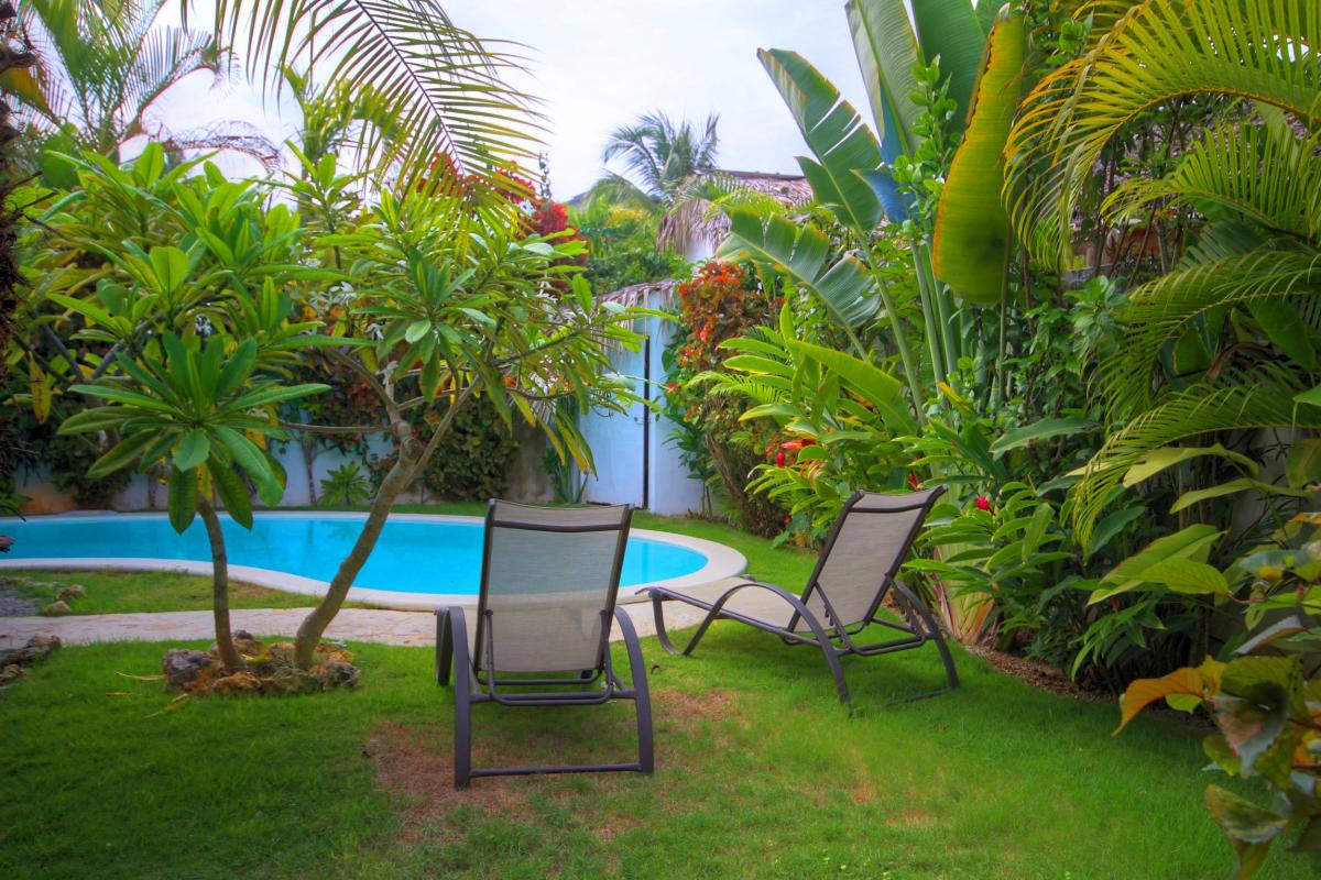 Location villa Las Terrenas - La piscine