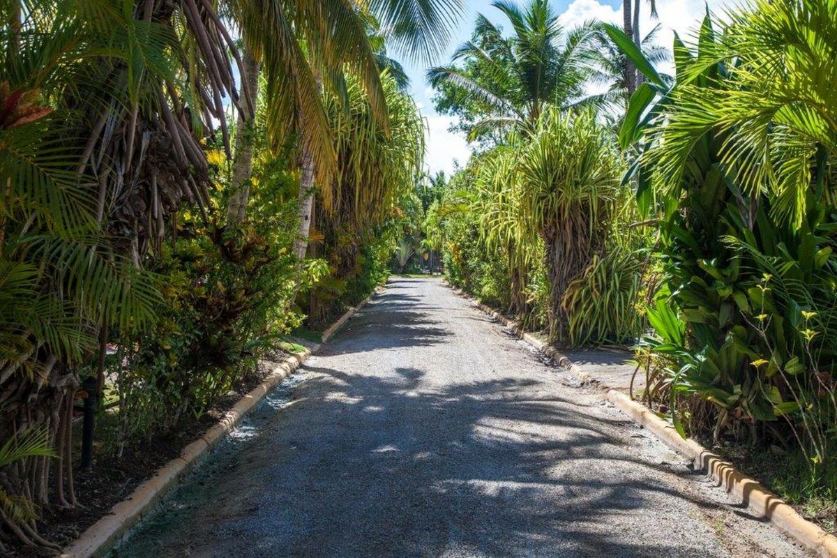 DOLT45 - Villa de luxe pieds dans l'eau Playa Coson Las Terrenas République Dominicaine