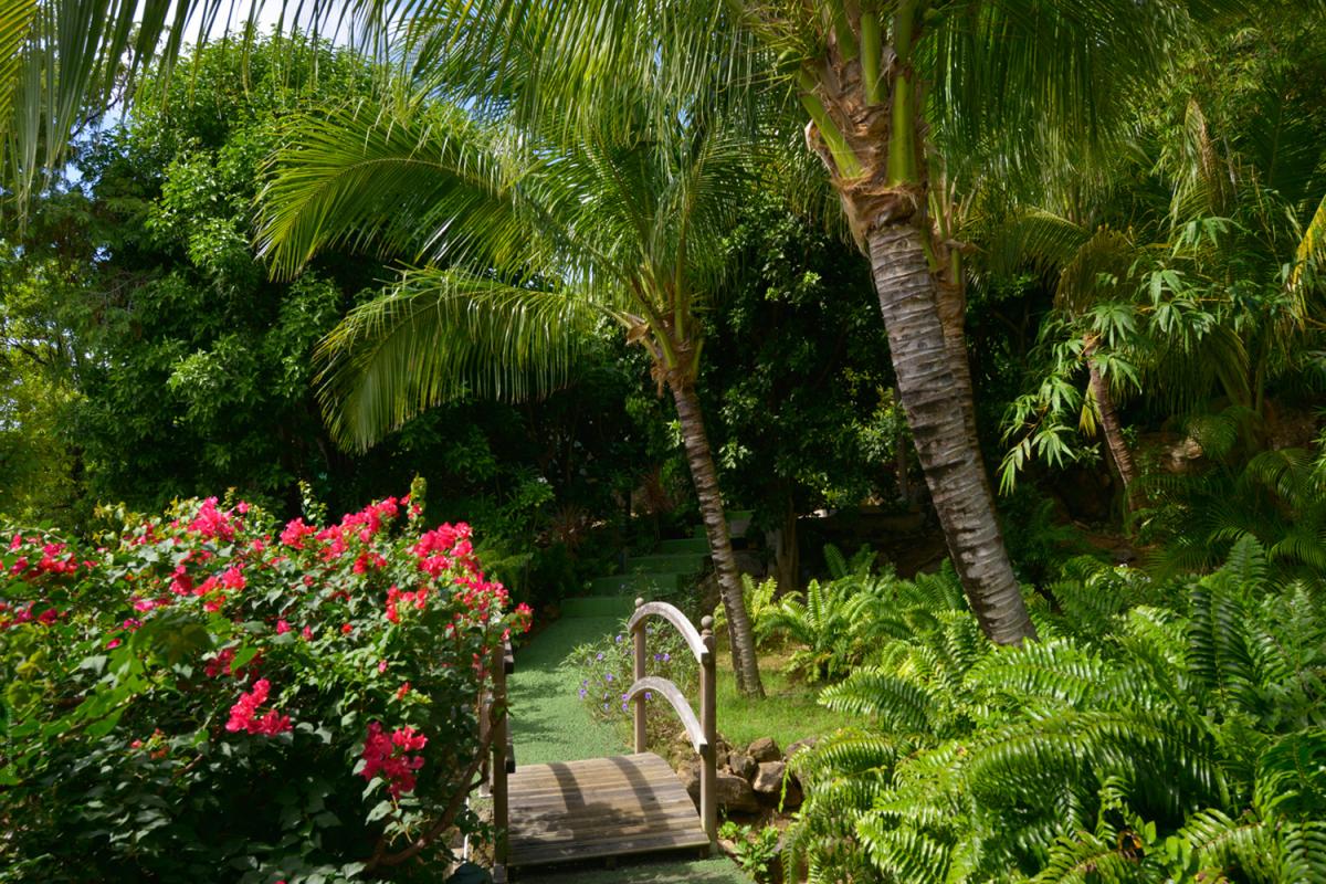 Location villa Corossol - L'accès à la plage